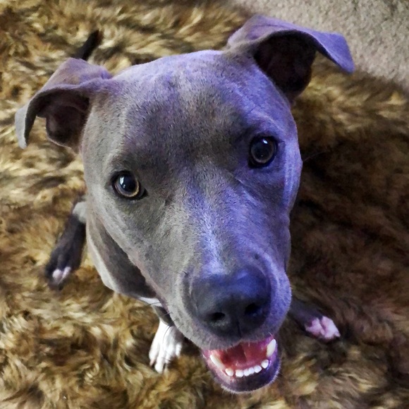 Meet your Posher, Paige - Picture 1 of 1